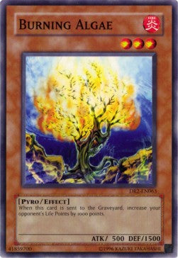Burning Algae - Dark Revelation 2 (Common) [DR2-063]