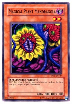 Magical Plant Mandragola - Dark Revelation 1 (Common) [DR1-127]