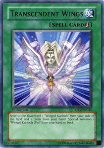 Transcendent Wings (V.1 - Rare) - Cybernetic Revolution (Rare) [CRV-045]