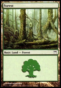 Forest (V.1)⁣ - Champions of Kamigawa⁣ (Land)⁣ [303]