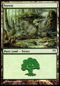 Forest (V.2)⁣ - Champions of Kamigawa⁣ (Land)⁣ [304]