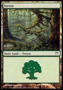 Forest (V.4)⁣ - Champions of Kamigawa⁣ (Land)⁣ [306]