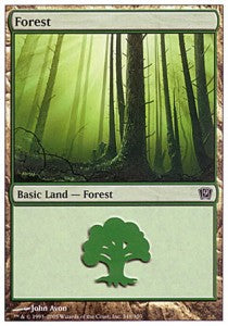 Forest (V.2) - Ninth Edition (Land) [9ED-348]