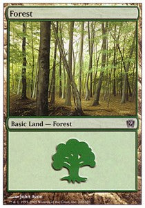 Forest (V.3)⁣ - Ninth Edition⁣ (Land)⁣ [349]