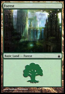 Forest (V.1)⁣ - Ravnica: City of Guilds⁣ (Land)⁣ [303]