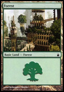 Forest (V.2)⁣ - Ravnica: City of Guilds⁣ (Land)⁣ [304]
