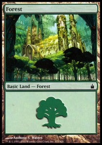Forest (V.3)⁣ - Ravnica: City of Guilds⁣ (Land)⁣ [305]