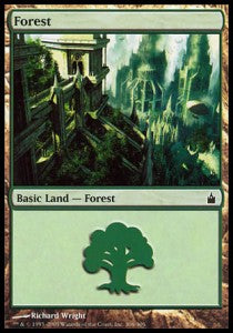 Forest (V.4)⁣ - Ravnica: City of Guilds⁣ (Land)⁣ [306]
