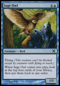 Sage Owl⁣ - Tenth Edition⁣ (Common)⁣ [104]