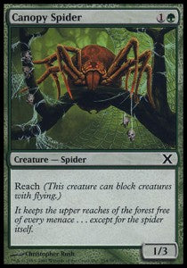 Canopy Spider⁣ - Tenth Edition⁣ (Common)⁣ [254]