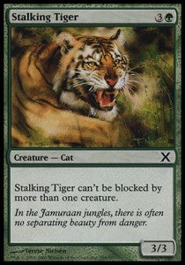 Stalking Tiger⁣ - Tenth Edition⁣ (Common)⁣ [299]