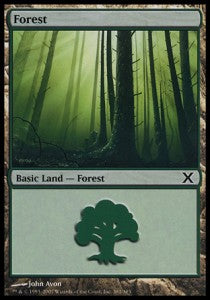 Forest (V.2)⁣ - Tenth Edition⁣ (Land)⁣ [381]