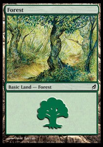 Forest (V.1)⁣ - Lorwyn⁣ (Land)⁣ [298]
