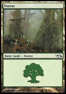 Forest (V.1)⁣ - Duel Decks: Elves vs. Goblins⁣ (Land)⁣ [28]