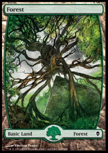 Forest (V.8)⁣ - Zendikar⁣ (Land)⁣ [249]
