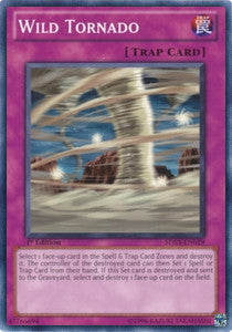 Wild Tornado⁣ - Starter Deck: Duelist Toolbox⁣ (Common)⁣ [029]