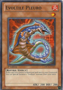 Evoltile Pleuro⁣ - Order of Chaos⁣ (Common)⁣ [025]