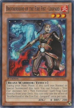 Brotherhood of the Fire Fist - Leopard⁣ - Lord of the Tachyon Galaxy⁣ (Common)⁣ [027]