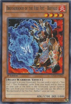 Brotherhood of the Fire Fist - Buffalo⁣ - Lord of the Tachyon Galaxy⁣ (Rare)⁣ [029]