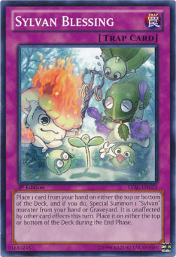 Sylvan Blessing⁣ - Legacy of the Valiant⁣ (Common)⁣ [073]