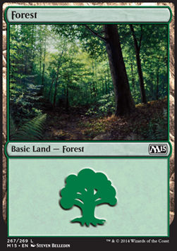 Forest (V.2)⁣ - Magic 2015⁣ (Land)⁣ [267]