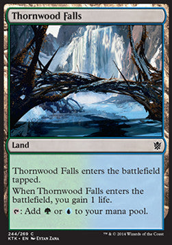 Thornwood Falls⁣ - Khans of Tarkir⁣ (Common)⁣ [244]