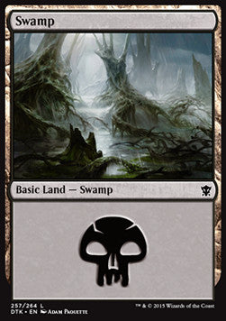 Swamp (V.2)⁣ - Dragons of Tarkir⁣ (Land)⁣ [257]