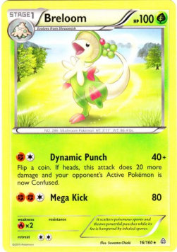 Breloom⁣ - Primal Clash⁣ (Rare)⁣ [16]