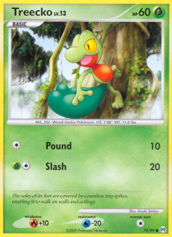 Treecko Lv.13⁣ - Arceus⁣ (Common)⁣ [79]