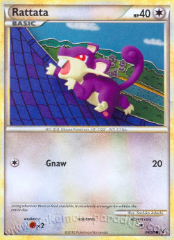 Rattata⁣ - Undaunted⁣ (Common)⁣ [64]