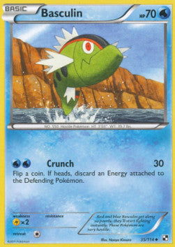 Basculin⁣ - Black & White⁣ (Uncommon)⁣ [35]
