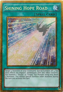 Shining Hope Road - Premium Gold: Infinite Gold (Gold Secret Rare) [PGL3-014]