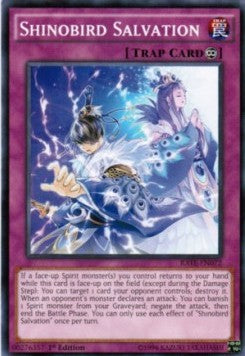 Shinobird Salvation⁣ - Raging Tempest⁣ (Common)⁣ [072]