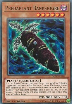 Predaplant Banksiogre⁣ - Code of the Duelist⁣ (Common)⁣ [016]