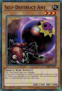 Self-Destruct Ant⁣ - Circuit Break⁣ (Common)⁣ [035]