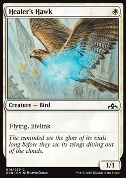 Healer's Hawk⁣ - Guilds of Ravnica⁣ (Common)⁣ [14]