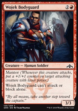 Wojek Bodyguard⁣ - Guilds of Ravnica⁣ (Common)⁣ [120]