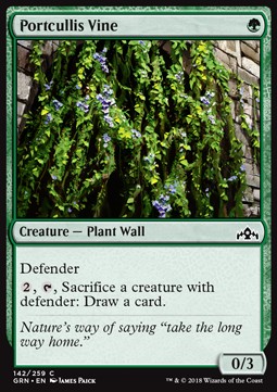 Portcullis Vine⁣ - Guilds of Ravnica⁣ (Common)⁣ [142]