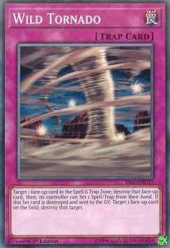 Wild Tornado - Speed Duel Starter Decks: Destiny Masters (Common) [SS01-C17]