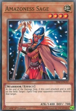 Amazoness Sage⁣ - Speed Duel Starter Decks: Duelists of Tomorrow⁣ (Common)⁣ [C07]