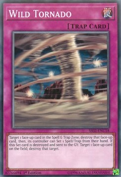 Wild Tornado - Speed Duel Starter Decks: Duelists of Tomorrow (Common) [SS02-C18]