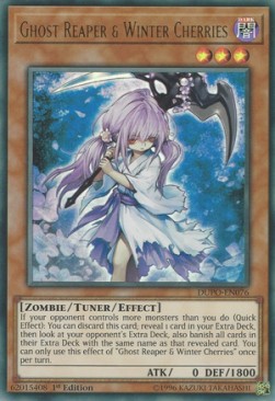 Ghost Reaper & Winter Cherries⁣ - Duel Power⁣ (Ultra Rare)⁣ [076]