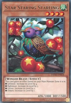 Star Staring Starling⁣ - Dark Neostorm⁣ (Rare)⁣ [024]