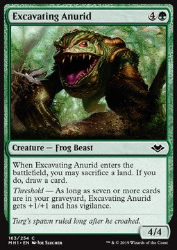 Excavating Anurid⁣ - Modern Horizons⁣ (Common)⁣ [163]