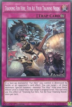 Training Fur Hire, Fur All Your Training Needs - 2019 Gold Sarcophagus Tin Mega Pack (Common) [MP19-256]