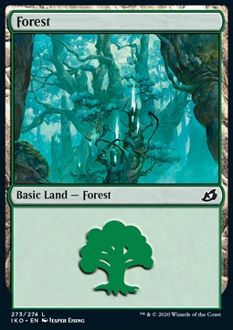 Forest (V.2)⁣ - Ikoria: Lair of Behemoths⁣ (Land)⁣ [273]