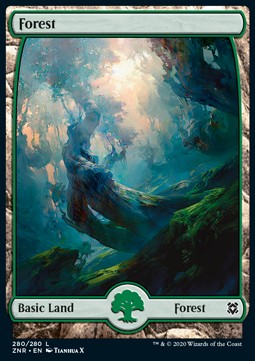 Forest (V.3)⁣ - Zendikar Rising⁣ (Land)⁣ [280]