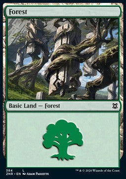 Forest⁣ - Zendikar Rising: Extras⁣ (Land)⁣ [384]