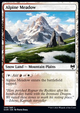 Alpine Meadow⁣ - Kaldheim⁣ (Common)⁣ [248]