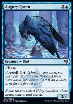 Augury Raven⁣ - Kaldheim⁣ (Common)⁣ [44]